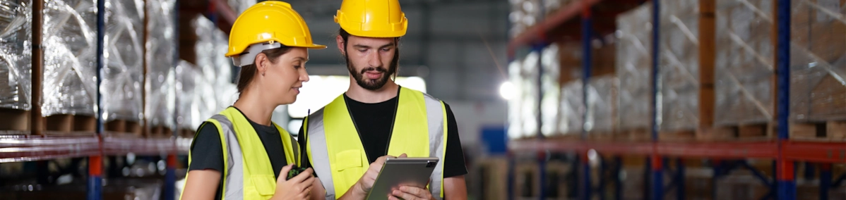 Staffing Solutions for a Seamless EDI Systems Integration at Fortune 100 Logistics Company